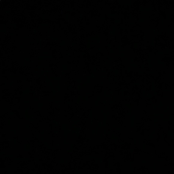 Meet your Posher, Kaya - Picture 1 of 1